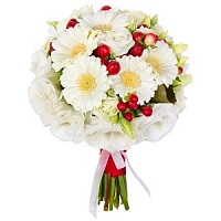 .     . Belflower -    .     .